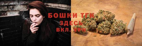 СК Касимов