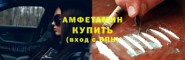 spice Инта