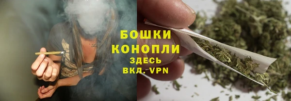 хмурый Инсар