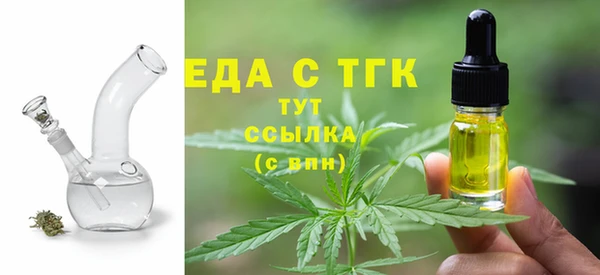 spice Инта