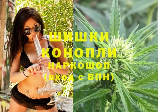 spice Инта