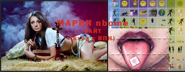 spice Инта