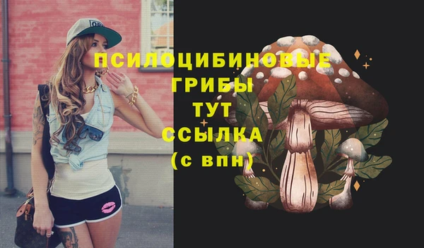 хмурый Инсар