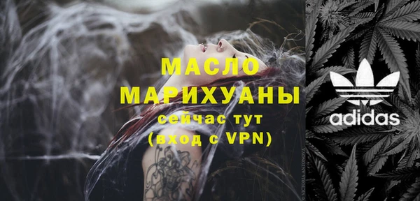 spice Инта